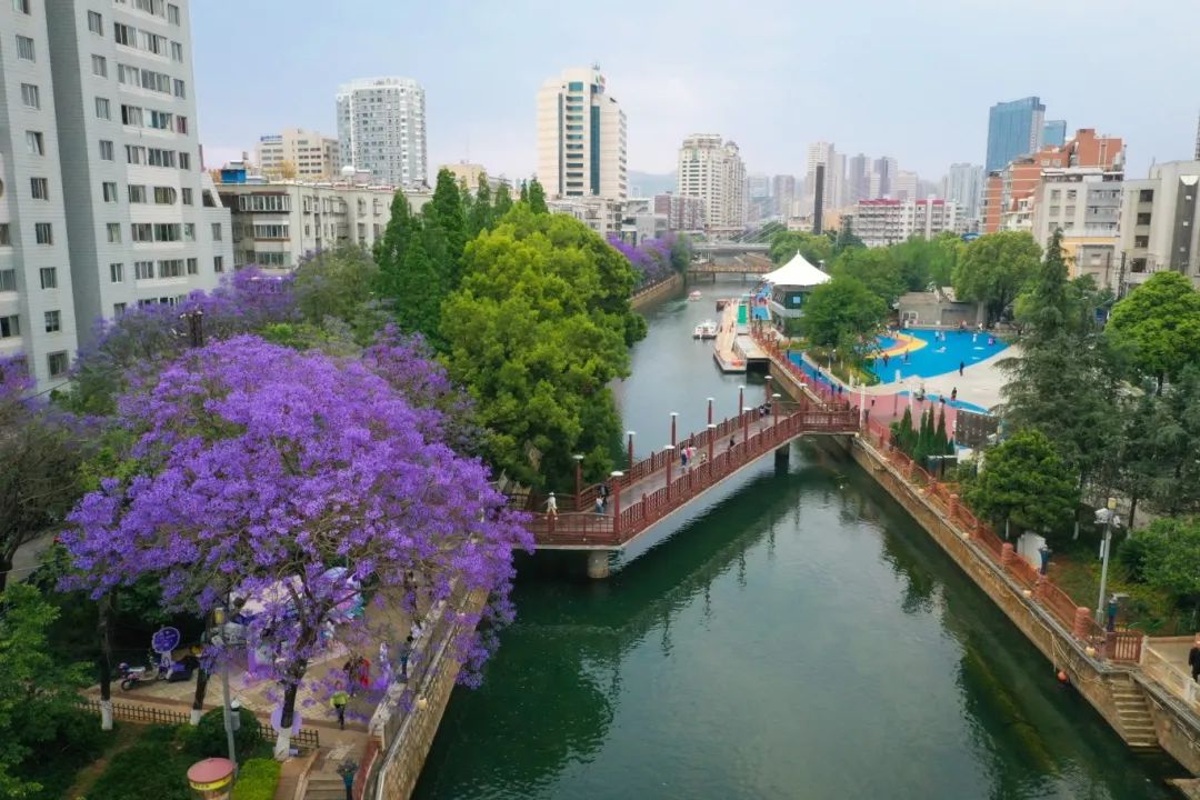盘龙江 (9).jpg