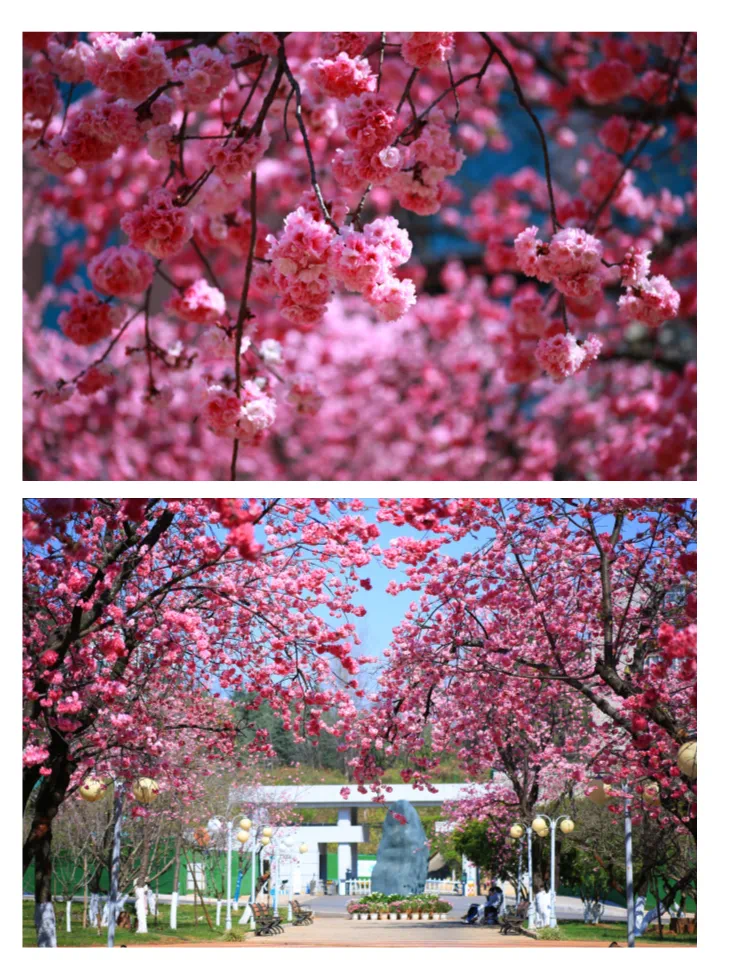 b874ed3ffcb06d4e0b3b159625d8eb4.png