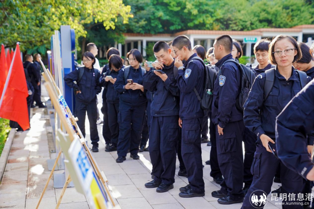 图片8