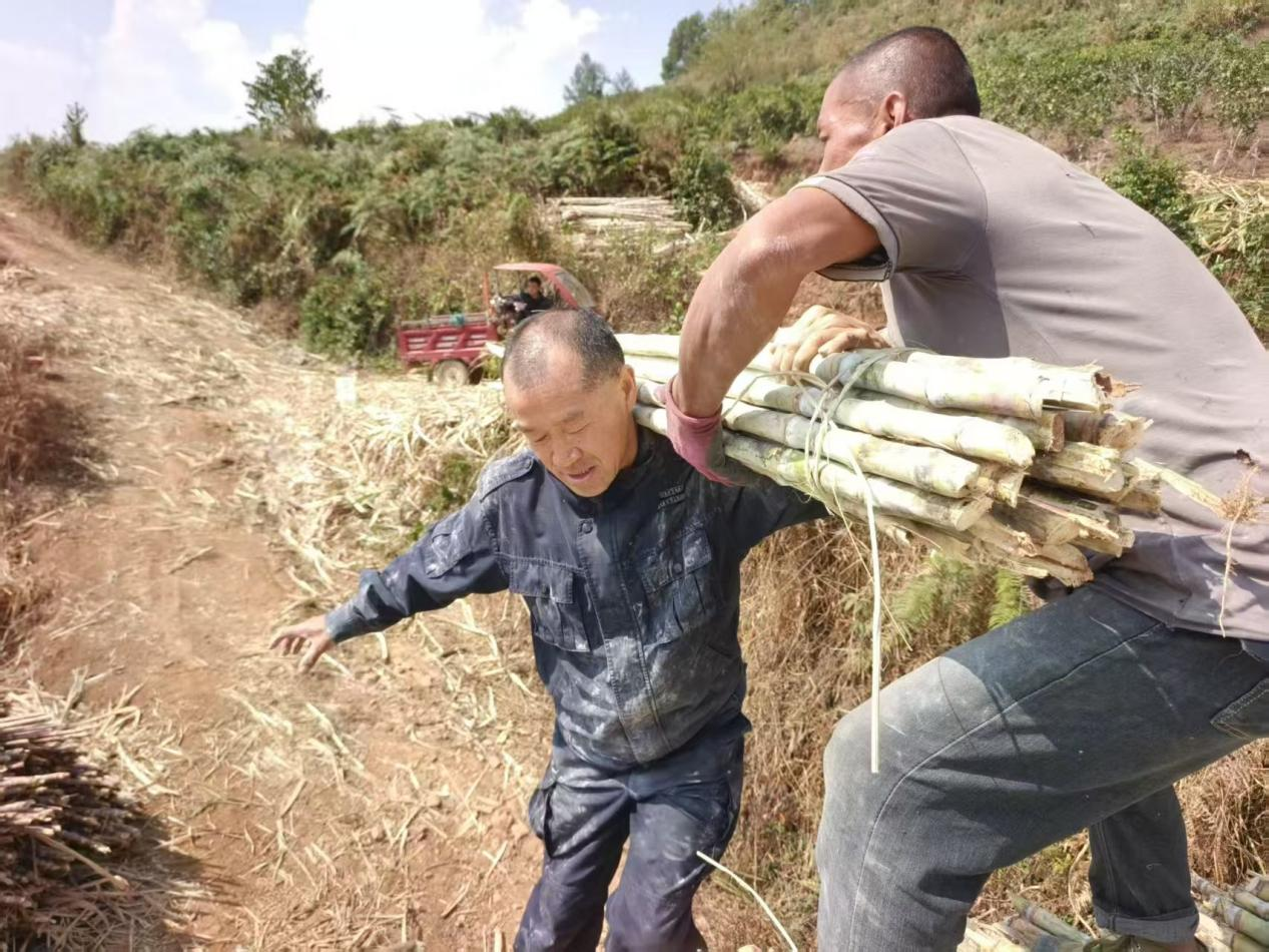 1762696530286002658.png 1762696040705.png