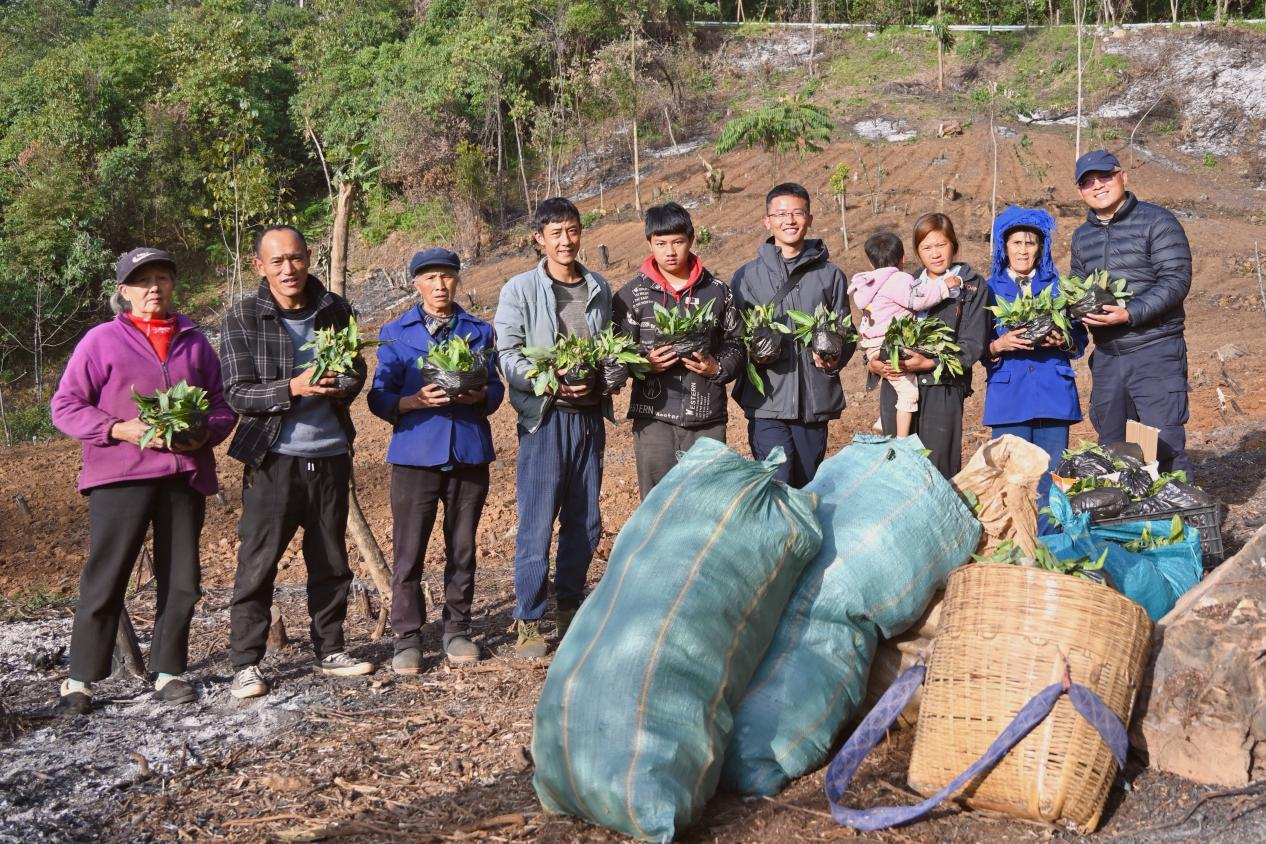 1762696548870099227.png 1762696046909.png