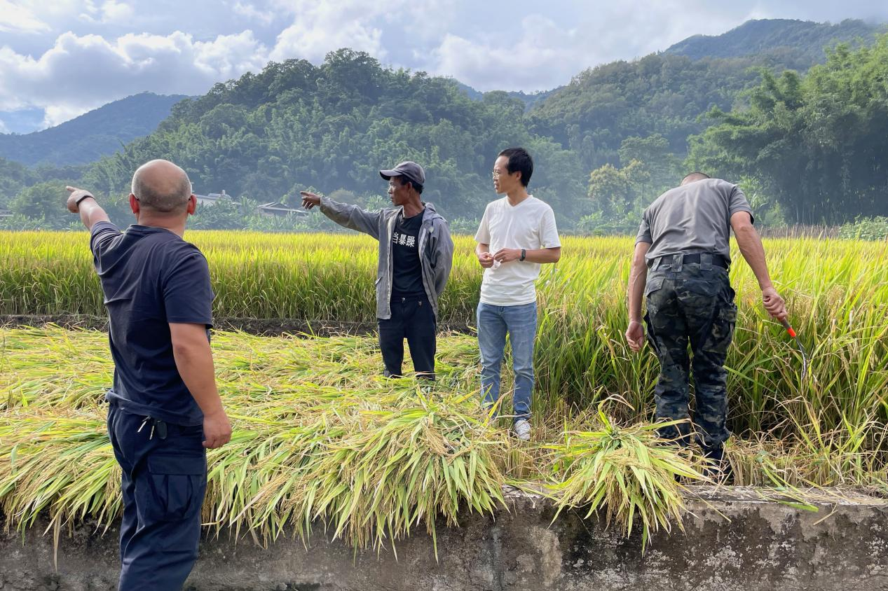 1762696584555071530.png 1762696051631.png