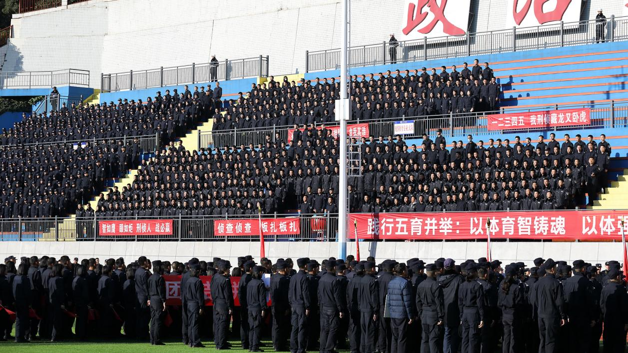 1764253108103029030.png 1764252699717.png