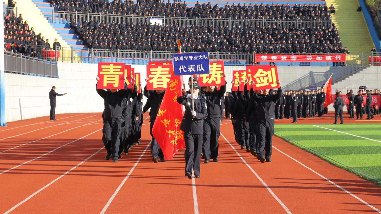 1764253417450054605.png 1764252754144.png