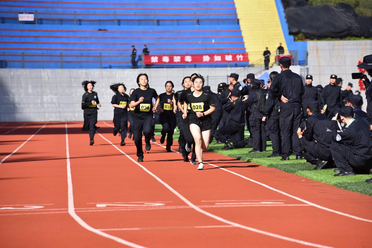 1764253583099036601.png 1764252829516.png