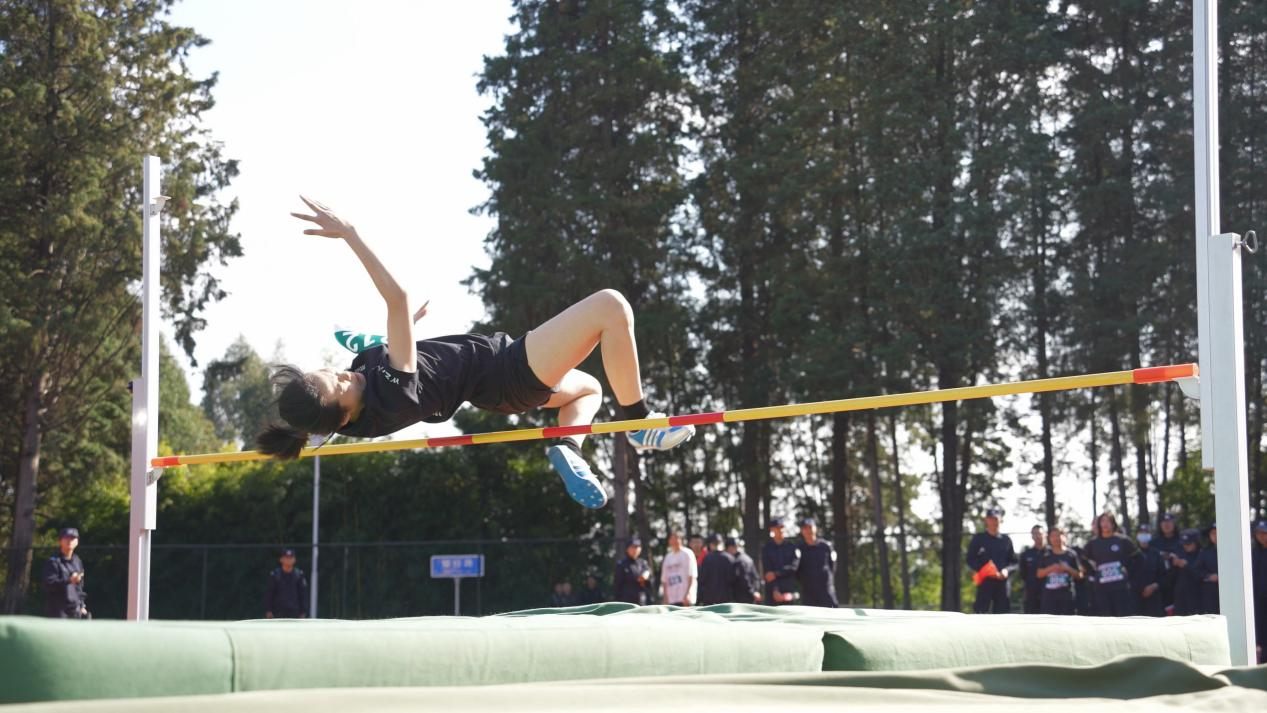 1764253727569004951.png 1764252862687.png