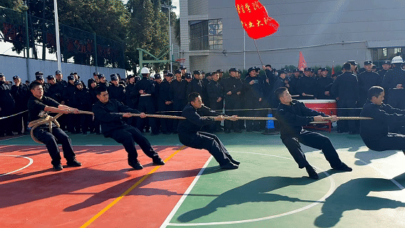 1764253827790097005.png 1764252913757.png