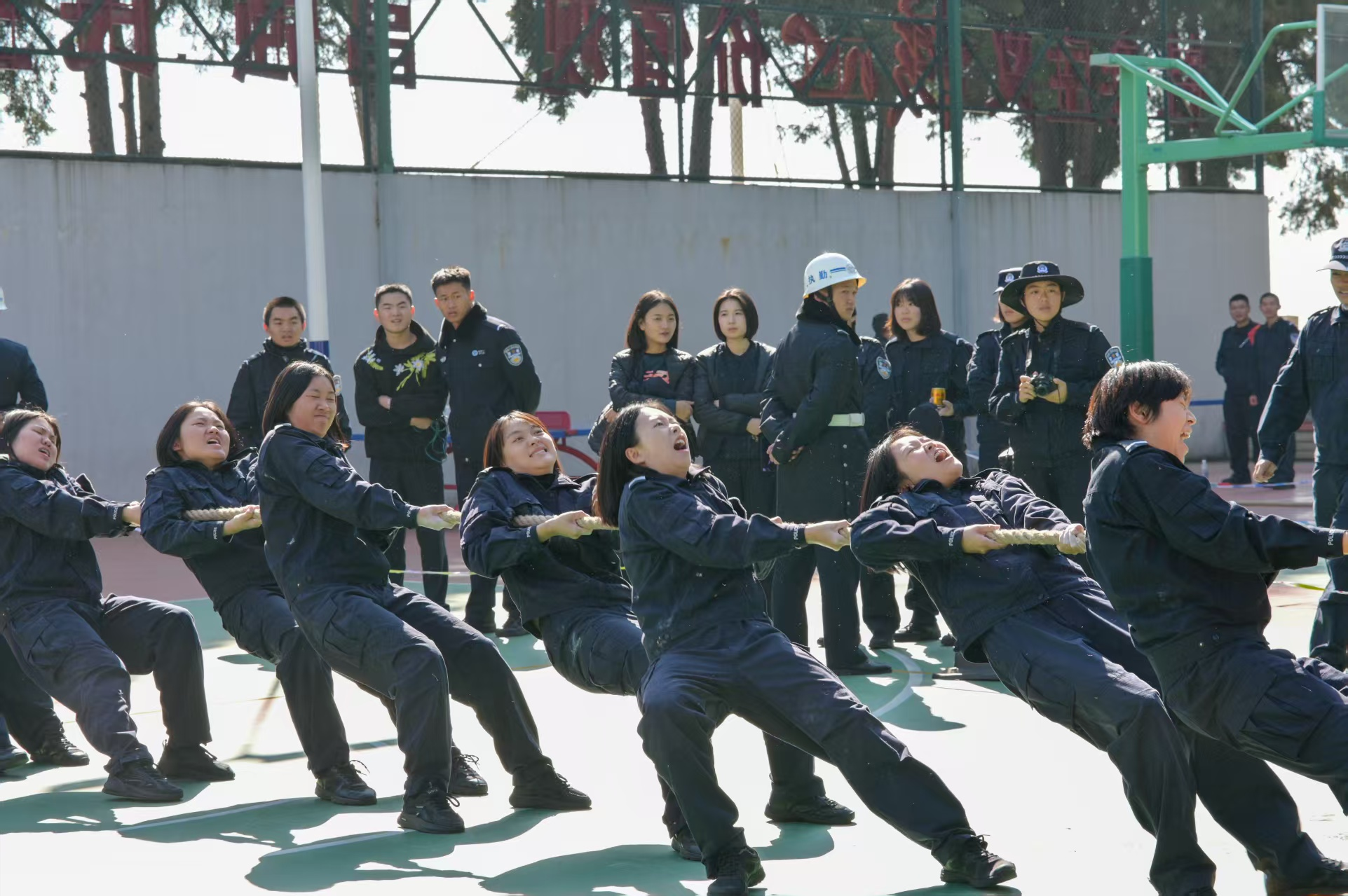 1764600023966028613.png 1764599483318.png