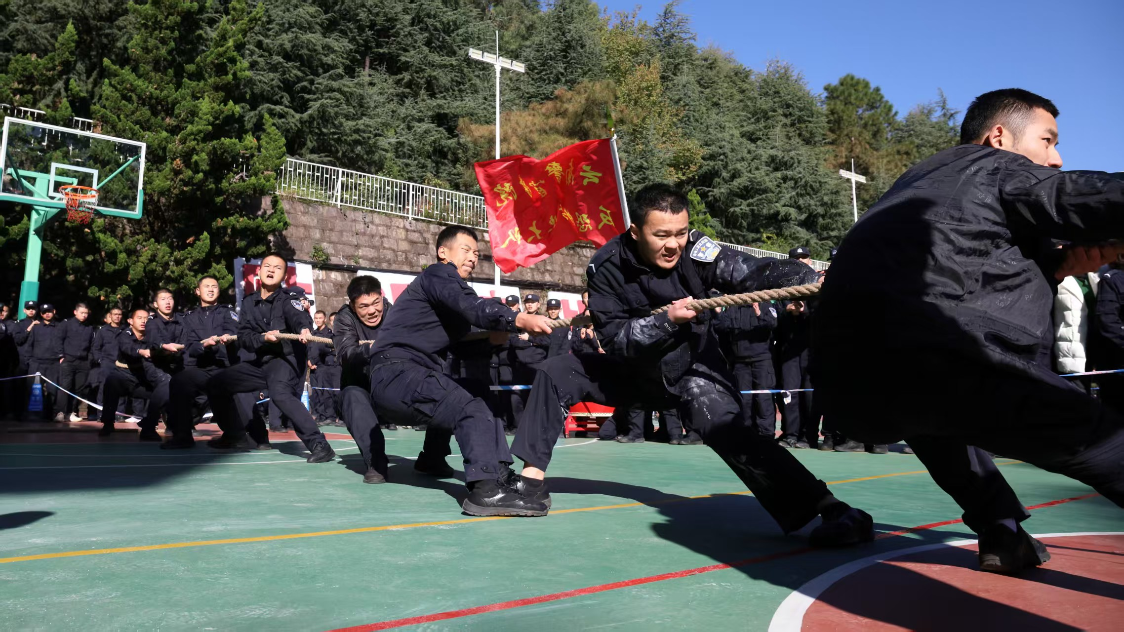 1764600366163037134.png 1764599778287.png