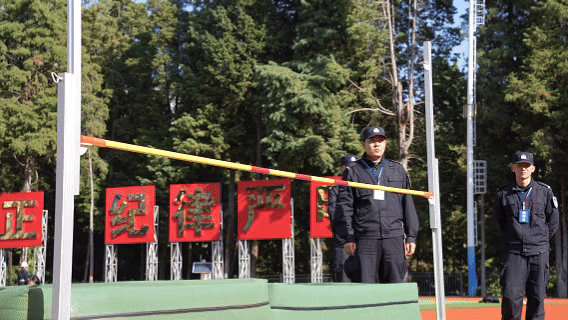 1764601718220009050.gif 1764601334820.gif