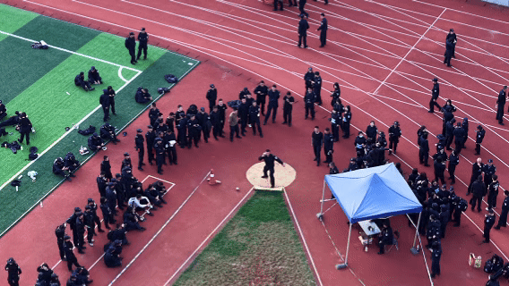 1764601838054050603.gif 1764601521752.gif