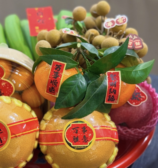 1772284426668063814.png 1772284350748.png