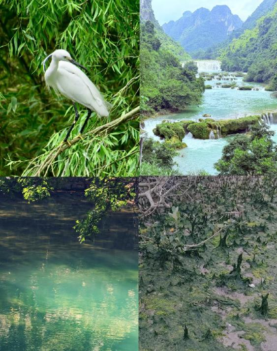 1772289281267025542.png 1772289104396.png