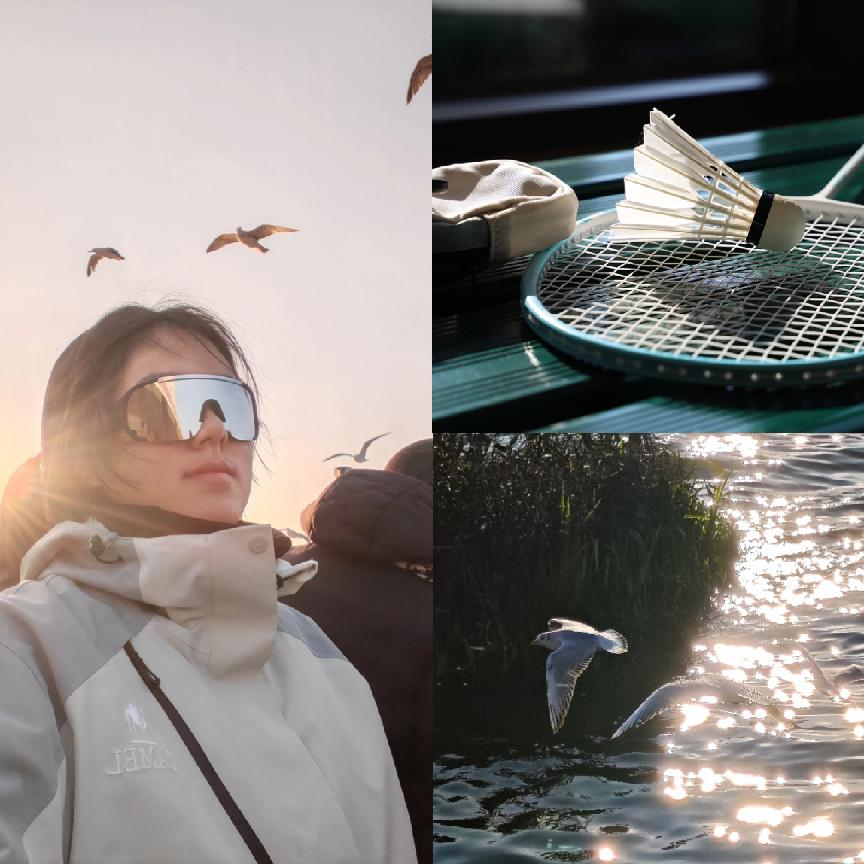 1772289295848092860.png 1772289108721.png