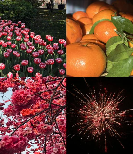 1772289337283049165.png 1772289124177.png