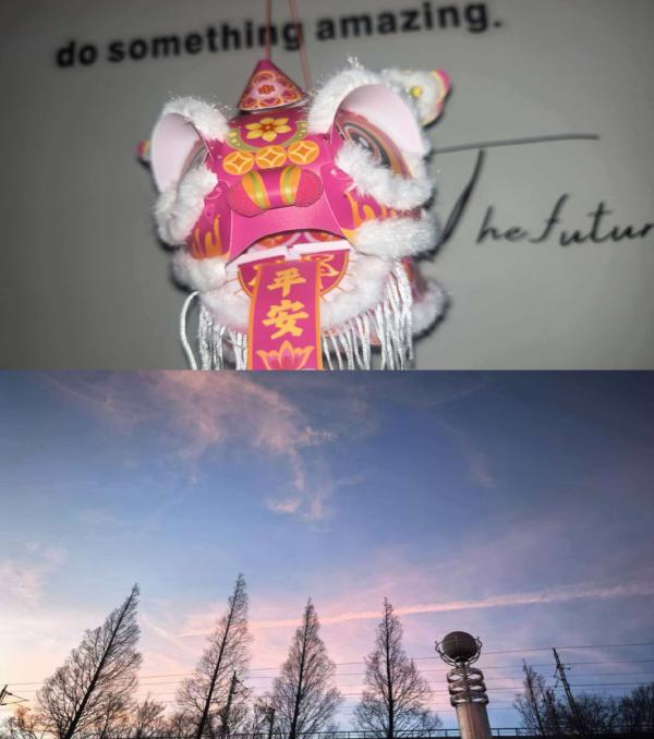 1772289373050022871.png 1772289146713.png